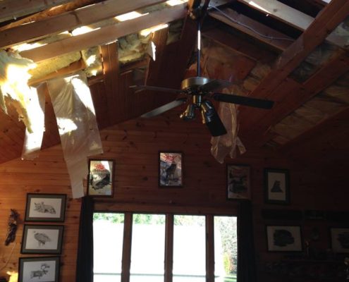 Bower:Rainbow Fire Damage I